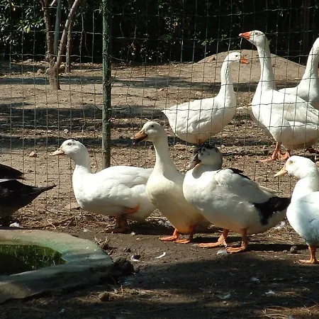 Agriturismo Crabileddu Vakantieboerderij *