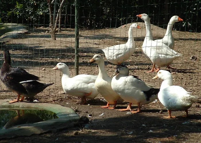 Agriturismo Crabileddu Bauernhof *